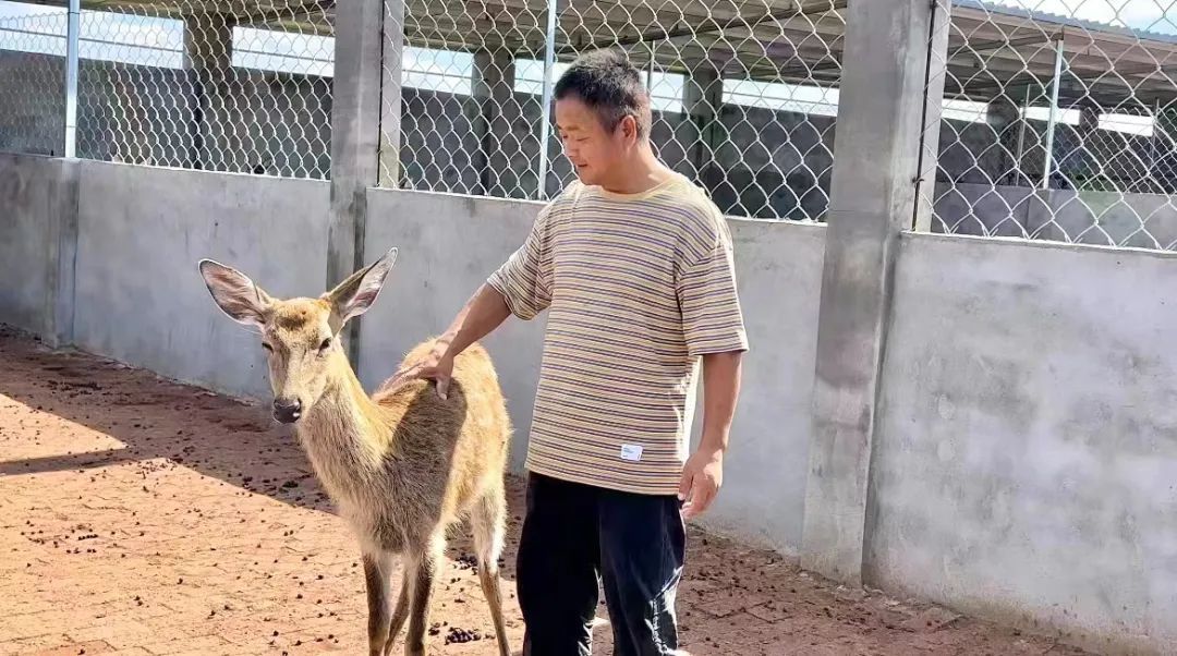 真人龙虎游戏下载